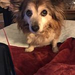 Les Henderson - @mitztyg - Instagram