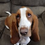 Lester Henderson - Facebook