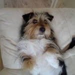 Les Walker - @leshenry1947 - Instagram