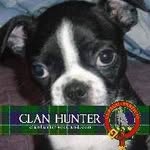 Les Hunter - @leshunter1048 - Instagram