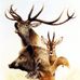 Les hunter de la bete noir - Facebook