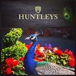 Huntleys - Samlesbury🦚 - @huntleyssamlesbury - Instagram