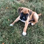 Leslie Ingram - Facebook