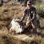 Les Johns - @les.johns - Instagram