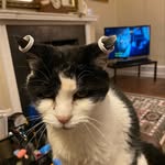 Les Kennedy - @daisynbuttercup - Instagram
