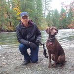 Les Mansfield - @les.mansfield - Instagram