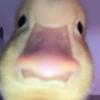 lesxmark - @les_marks_backup - TikTok