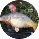 les norton - @lesnortonfanclub - Instagram