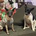 Leslie Norton - Facebook