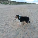 Les Pearson - @lespearson99 - Instagram