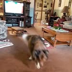 Charles Polk - @char.lespolk - Instagram