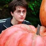 mya a - @les_potter_de_la_mort - Instagram
