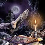 potterhead - @les_potterheads_ - Instagram