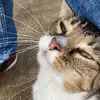 Les Quinnn - @les.quinnn - TikTok
