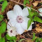 lesschwartz - @les29407 - Instagram