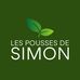 Les pousses de Simon  - Facebook