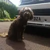 Les Simon - @les.simon - TikTok