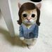 Lessimon Echeverria - Facebook