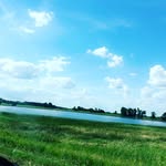 Sneadles Snapshots - @sneadlessnapshots - Instagram