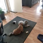 Les Starkey - @les.starkey.56 - Instagram