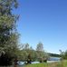 Les landaises à Stevenson - Facebook