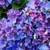 Leslie Stevenson - Facebook