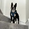 les thomas - @les.thomas - TikTok