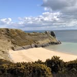 Les Thomas - @lesthomas554 - Instagram