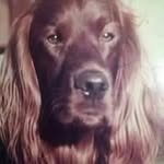 Les Tucker - @lestucker45 - Instagram