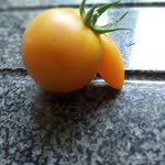 Les Warren - @les.warren.336 - Instagram