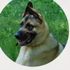 Lesa Brooks - @lesa.brooks - TikTok