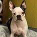 Leesa Chambers - Facebook