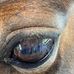 Lisa Dunn - Facebook