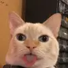 lexagates - @lexagates - TikTok