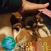 Lesa Hale - Facebook