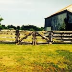 Lesa Henderson Pickinpaugh - @lesa1230 - Instagram