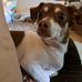 Lisa Hendley - Facebook