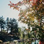 Lesa Jones - @ljplantsales - Instagram
