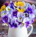 Lesa Keith Casto - Facebook