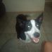 Lesa Lee - Facebook
