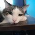 Lisa McCain - Facebook