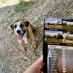 Lesa Osborne - @lesaosborne58 - Instagram