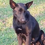 Lesa Robinson - Facebook