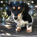 Lesa Sexton Burnett - Facebook