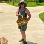 Lesa Willis Tonne - @lesatonne - Instagram