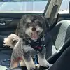 Lesia Marie Wilson - @lesia.marie.wilso - TikTok