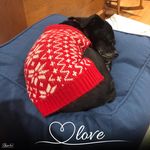 LesLee Taylor - @lesatc - Instagram