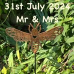Lesley Adamson - Facebook