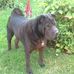 Lesley Alexander - Facebook