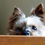 Lesley Alexander - @lesleyalexander3156 - Instagram